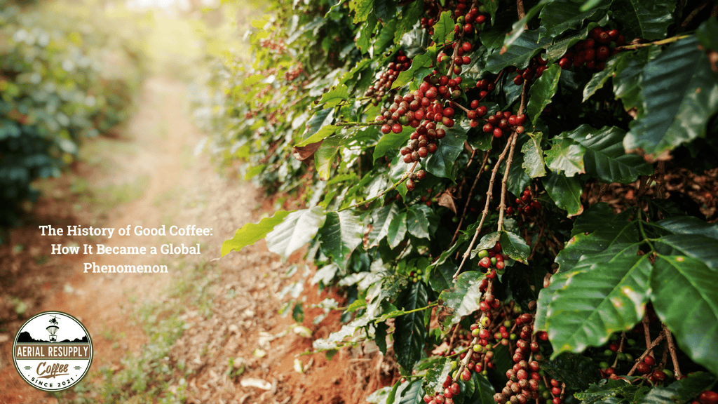 coffee plant, coffee farm, columbian bean, robusta bean, aerial resupply coffee 