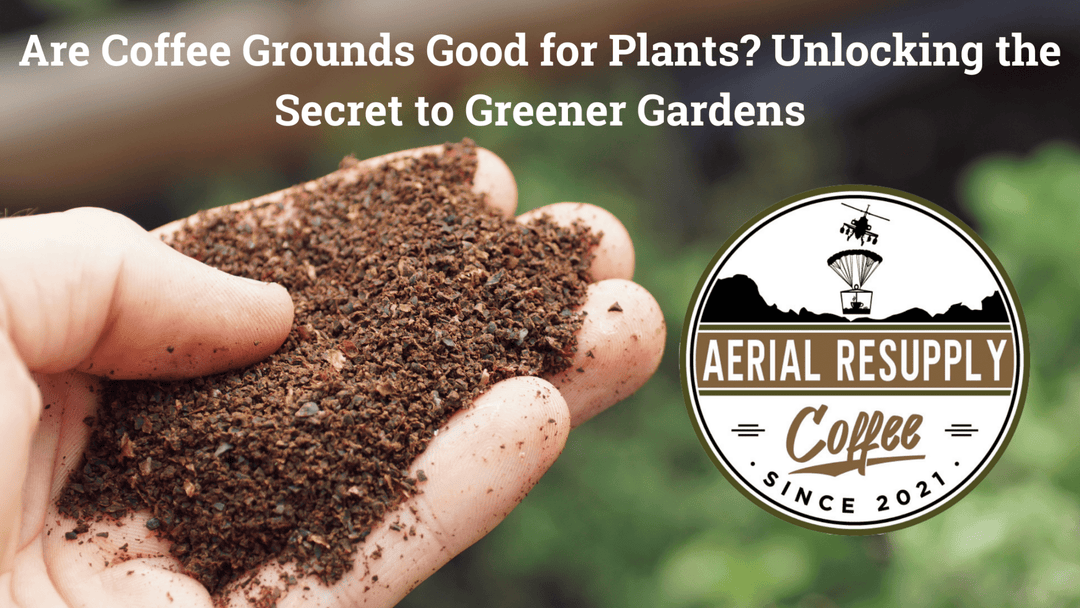 Aerial Resupply Coffee 2024 Guide to coffee grounds and plants