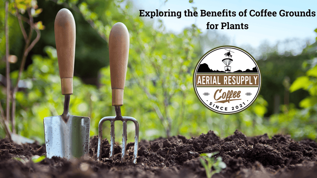 garden, gardening, coffee grounds, coffee grounds planting, aerial resupply coffee