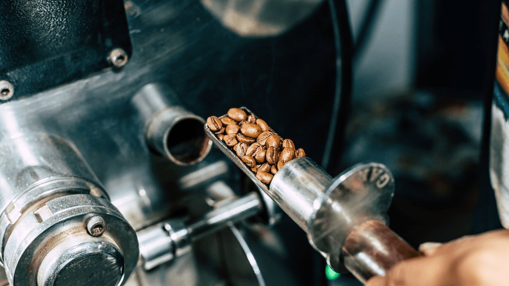 Coffee beans coming out of a roaster from Aerial Resupply Coffee