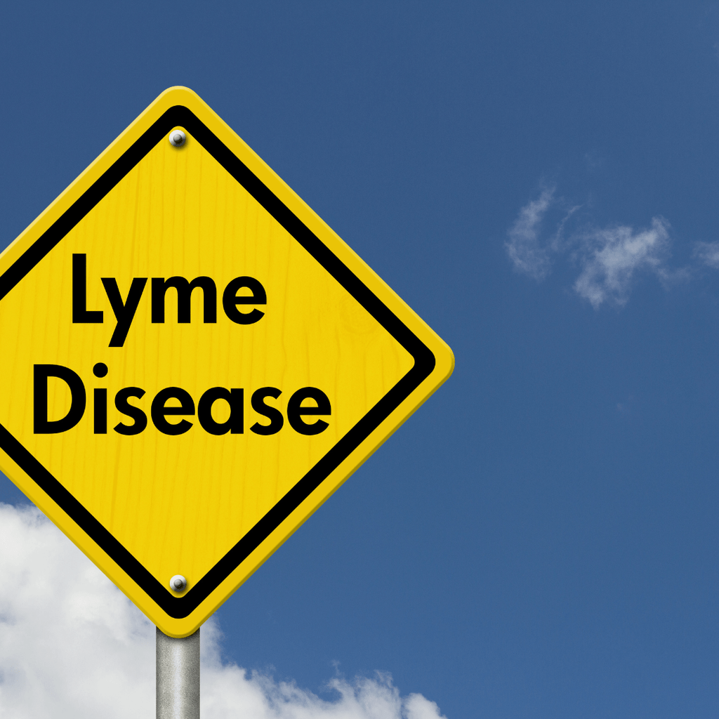 Yellow yield sign about Lymes Disease Aerial Resupply Coffee