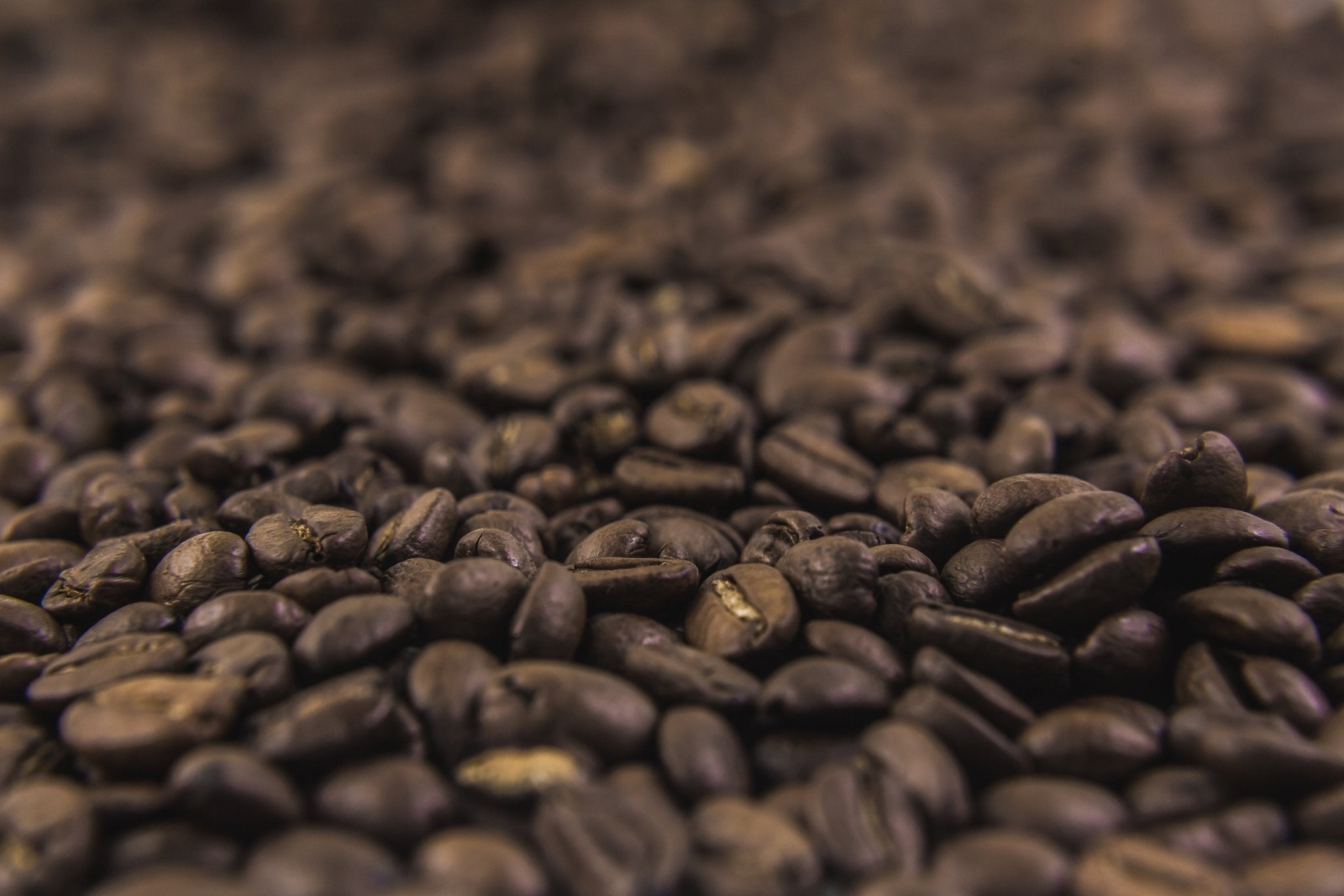 Fresh whole coffee beans