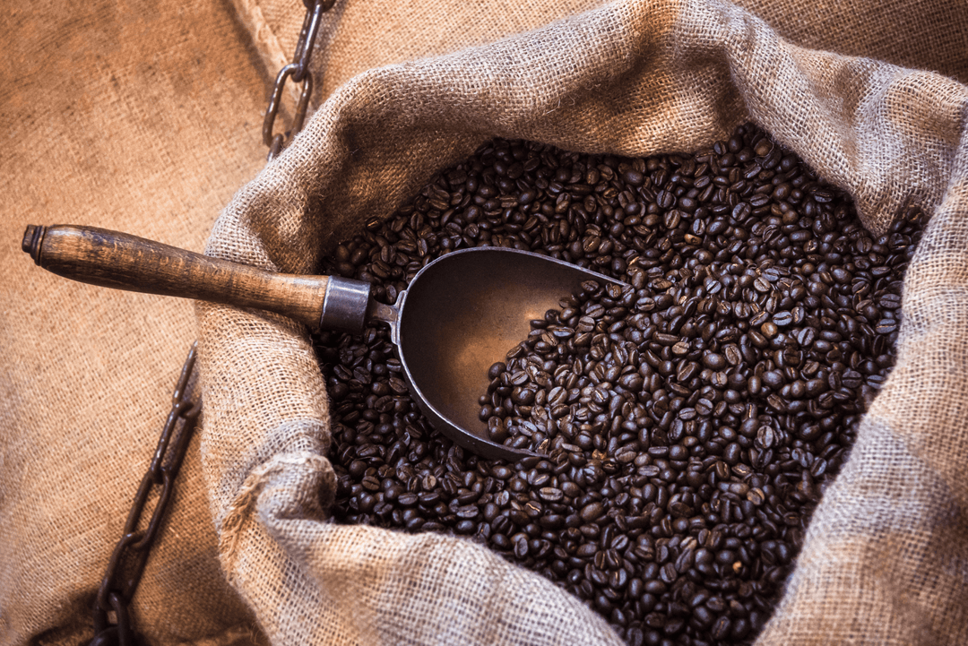 How to Roast Coffee Beans Like a Pro - Aerial Resupply Coffee