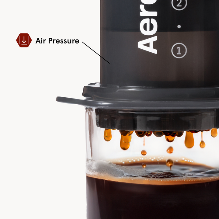 AeroPress Original components laid out