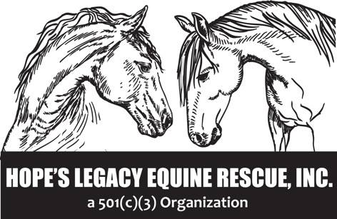 Aerial Resupply Coffee partners with Hope's Legacy Equine Rescue to support veterans in their healing from anxiety and post traumatic stress disorder